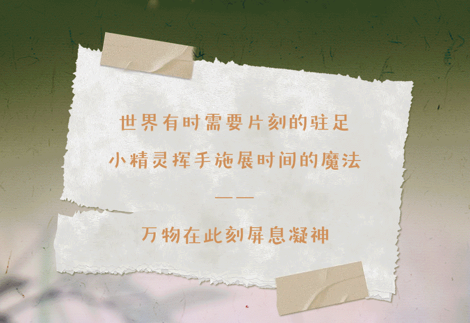 c231e12d-1173-45b2-b149-7f589013d9fb