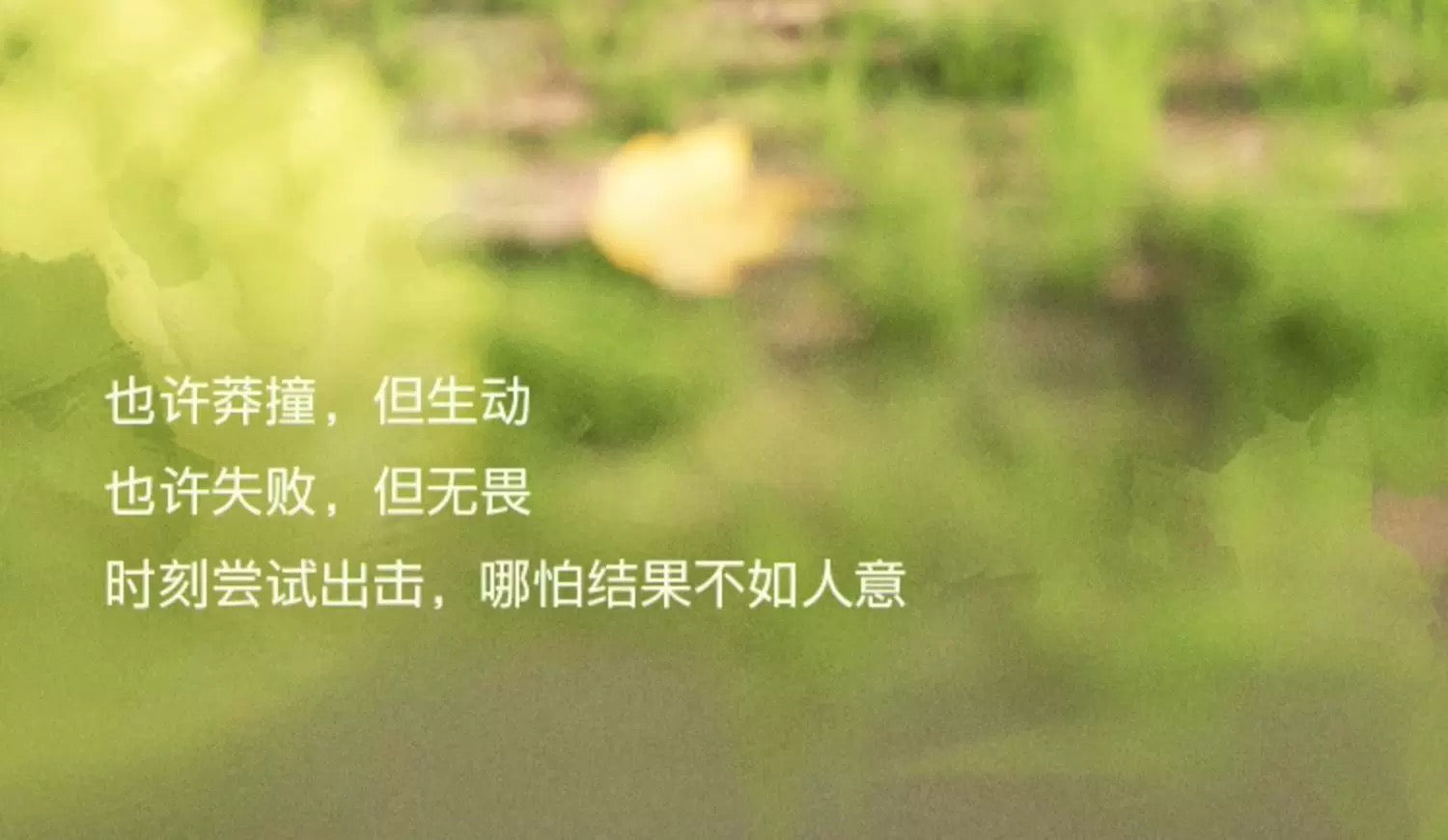94b6e423-aadd-4c32-a517-888070876e1c