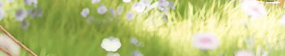 25ff7606-f272-40b1-b949-33154a9e17ee