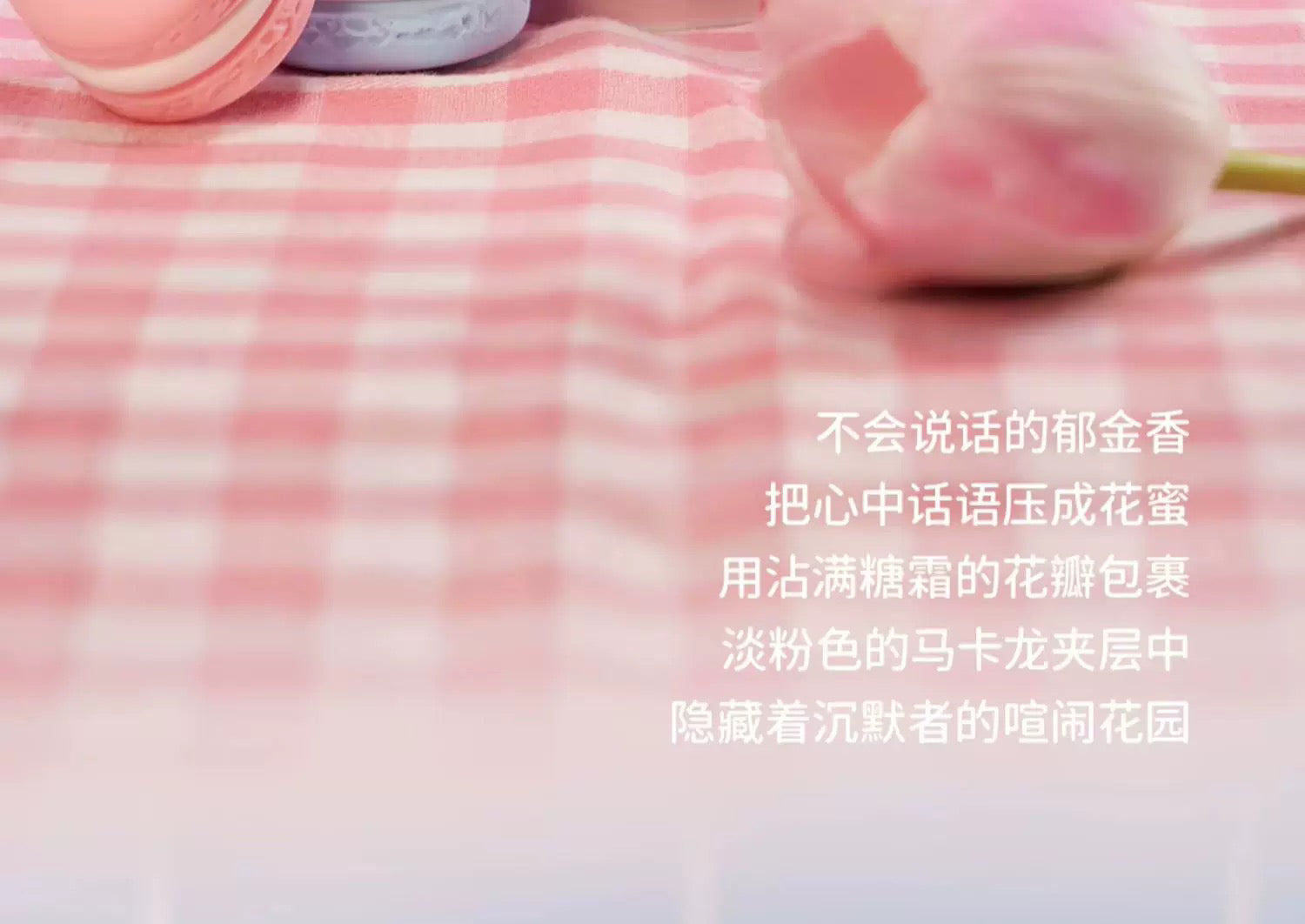 698b095e-8bd0-4396-808b-be605c90a13c