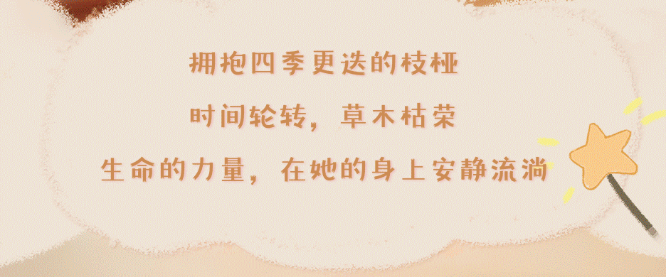 8dc3977d-d58b-48af-9bea-78c35715eb2c